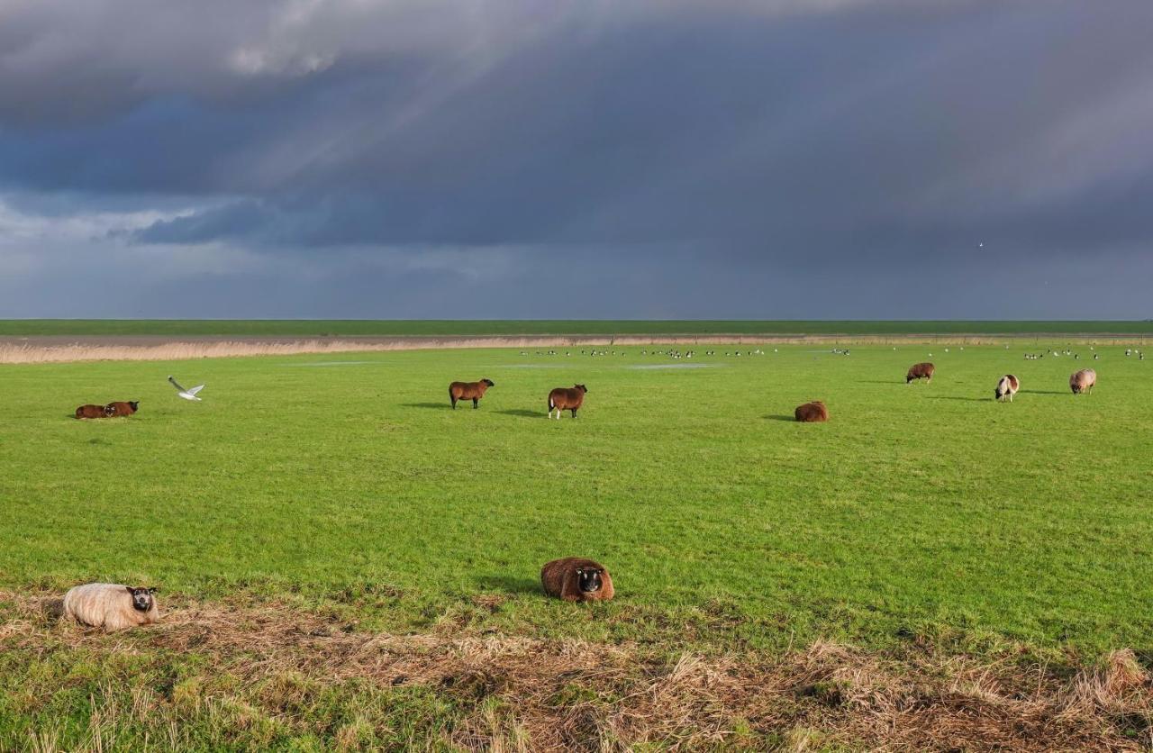 Schierzicht Logement Lauwersoog Exteriér fotografie
