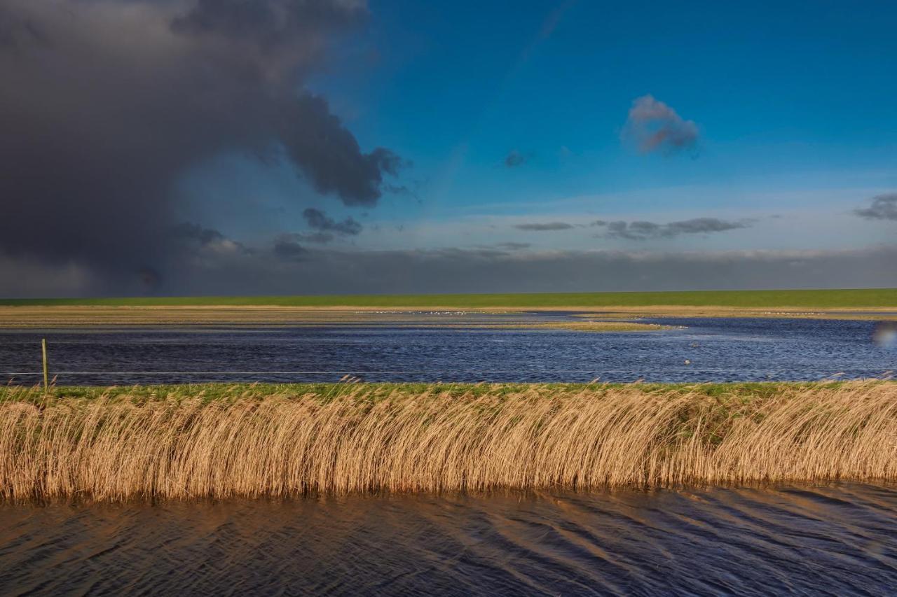 Schierzicht Logement Lauwersoog Exteriér fotografie